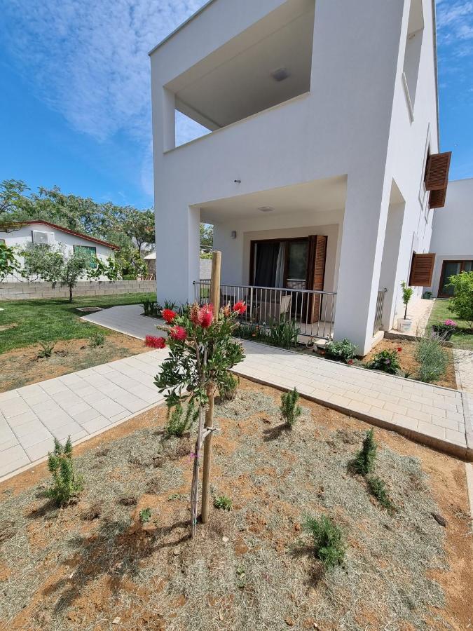 Apartments Leticia Vrsi Bagian luar foto